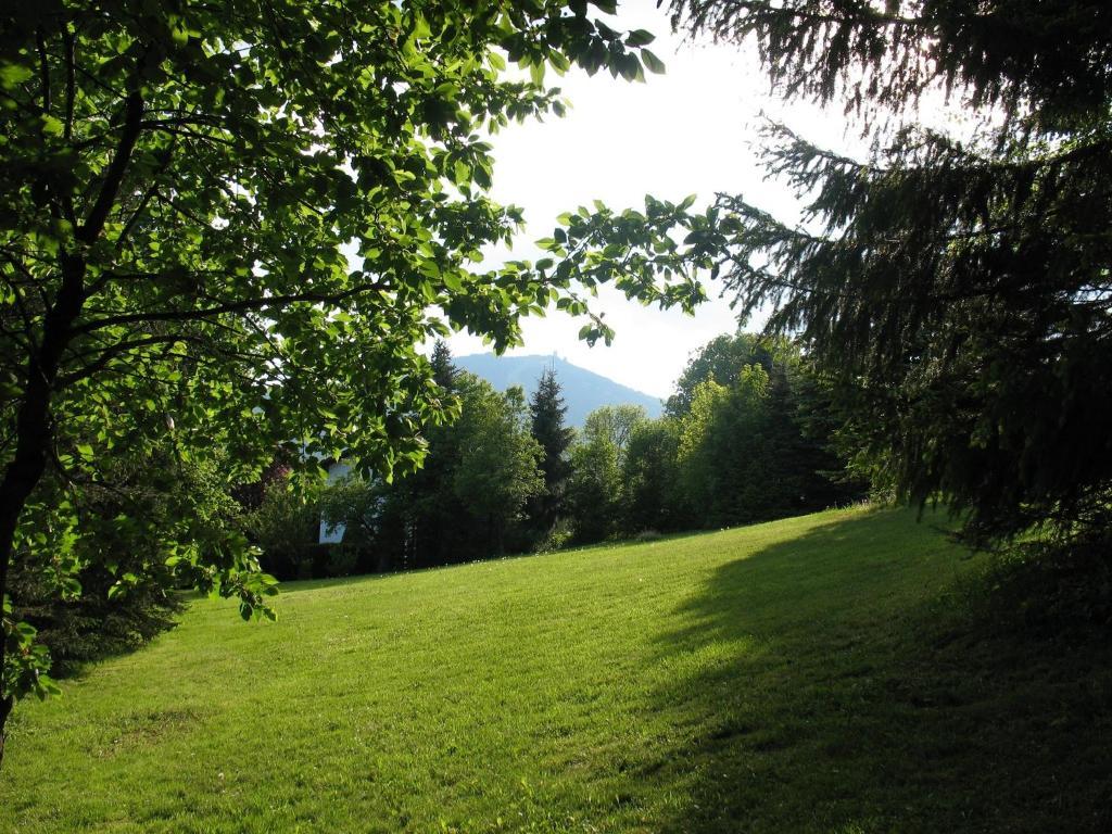 Falkenhof Classic Apartment Bayerisch Eisenstein